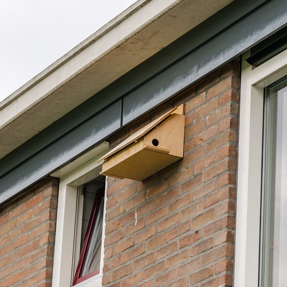 Paalkast (maatwerk)
