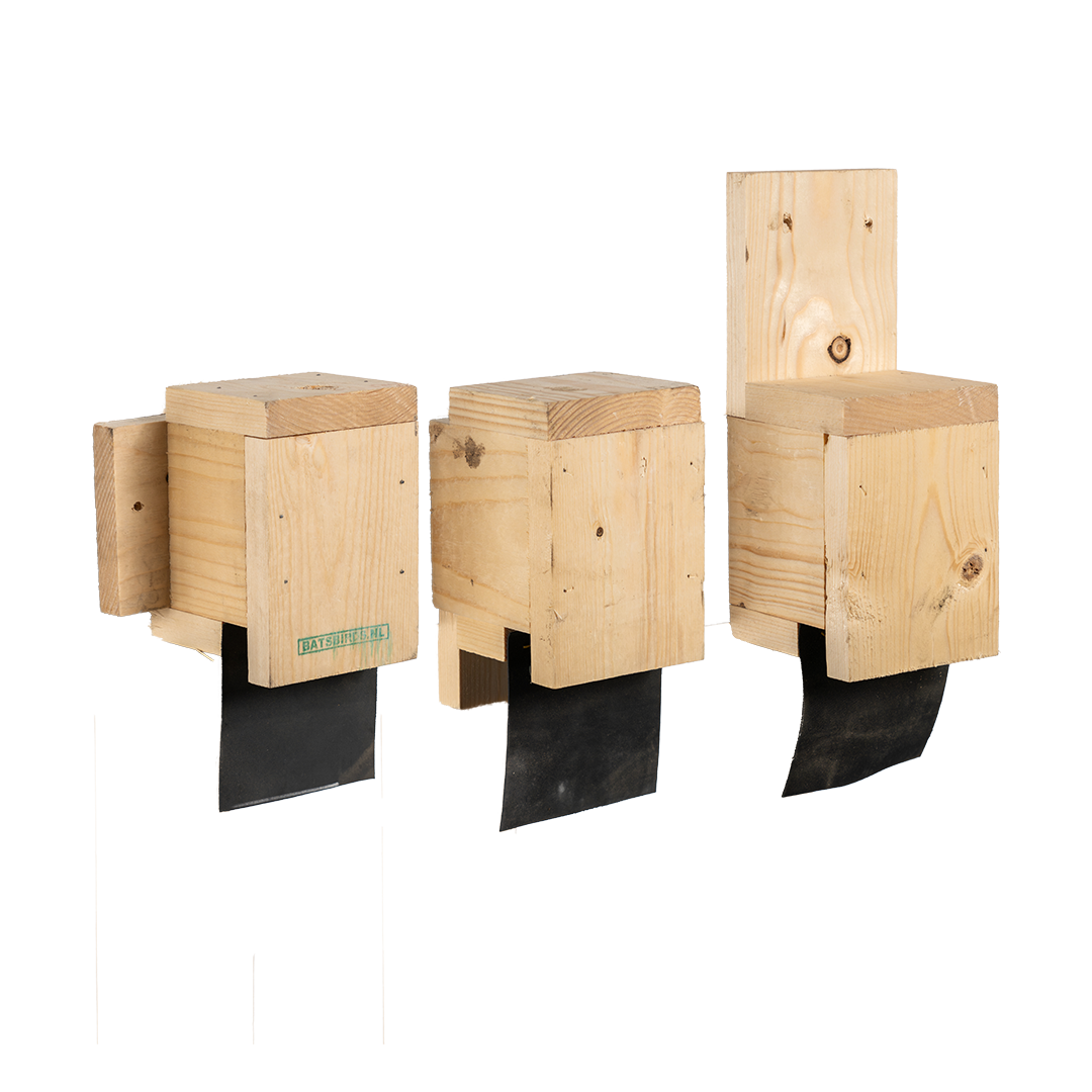 Exclusion Flap Exclusion Flap