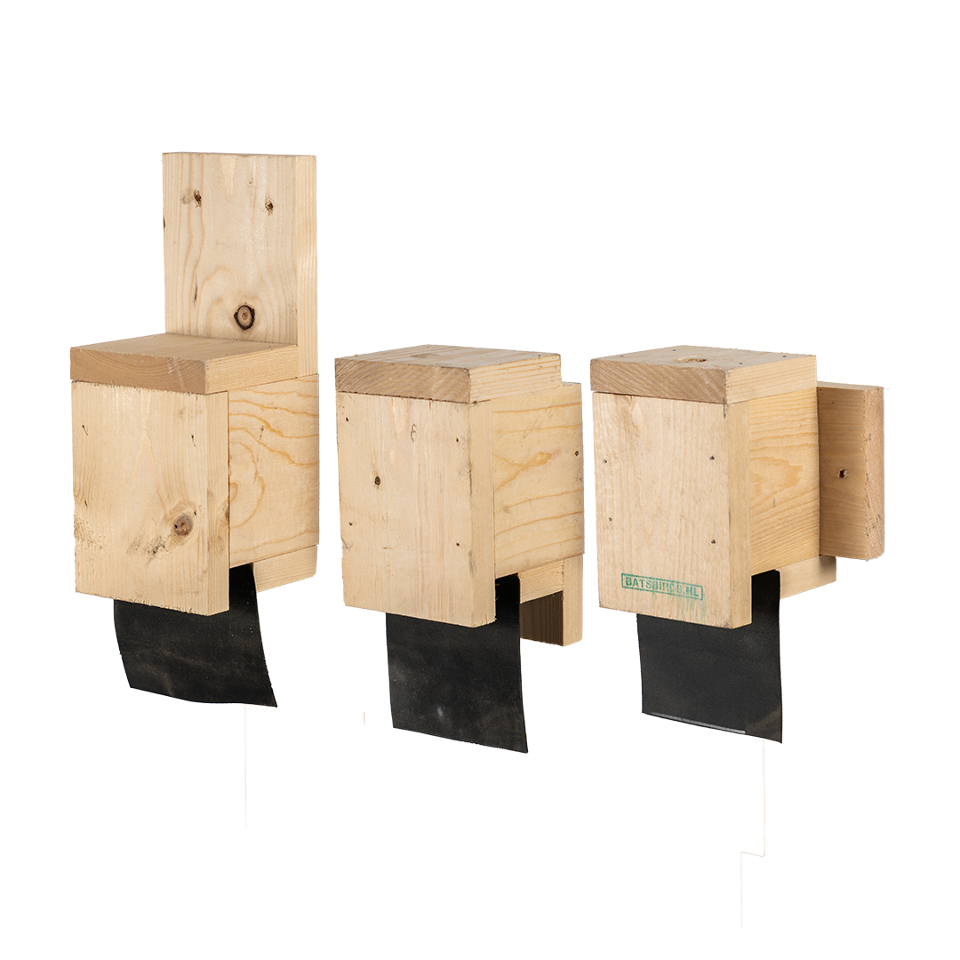 Exclusion Flap Exclusion Flap